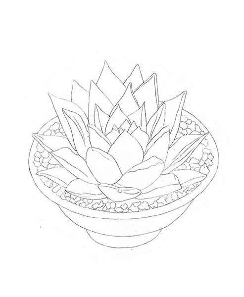 《多肉绘Ⅱ》高清线稿预览及下载